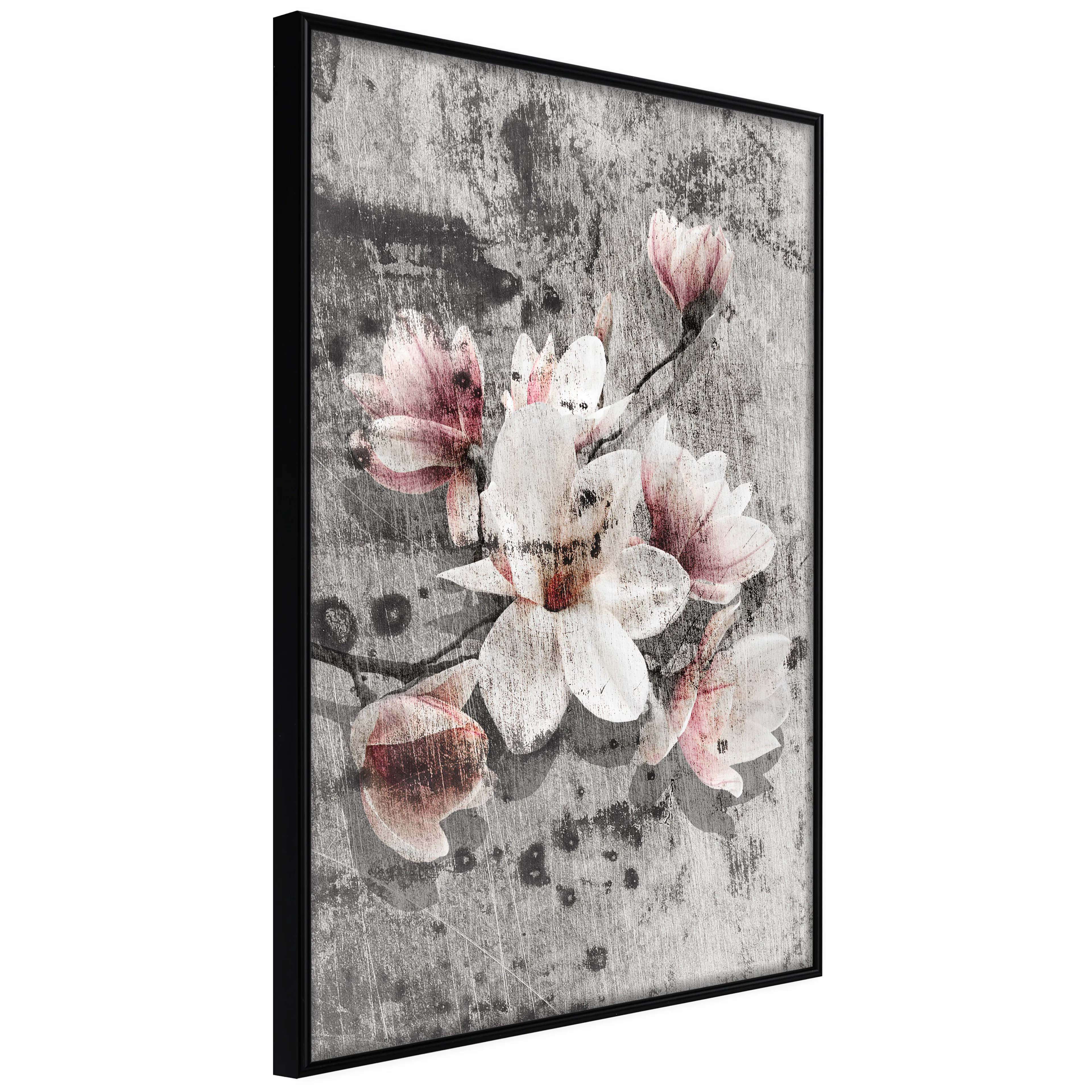 Affisch - Magnolias [Poster] 40x60 Svart ram, 40x60 cm