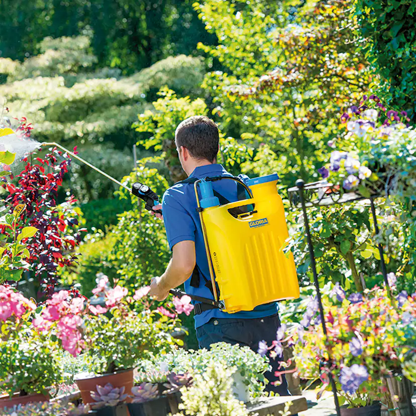 Ryggspruta Gloria Hobby 1800