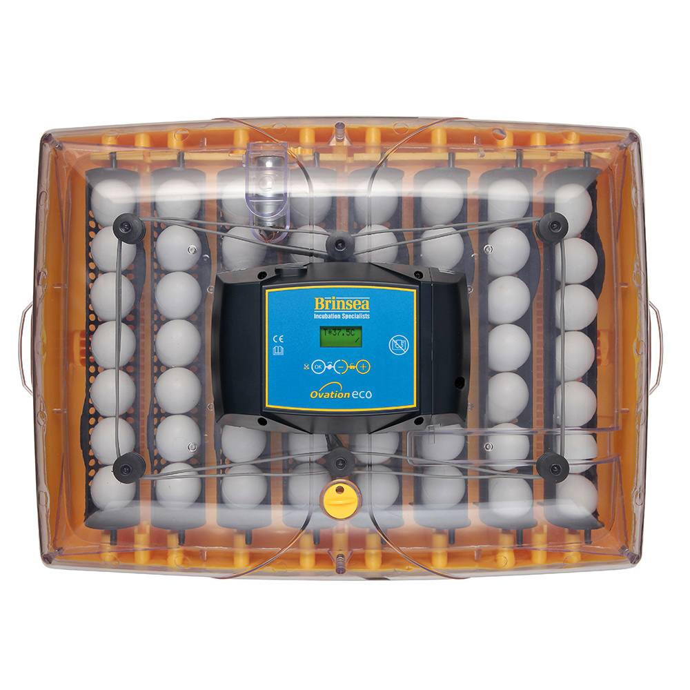 Äggkläckare Brinsea Ovation 56 Eco