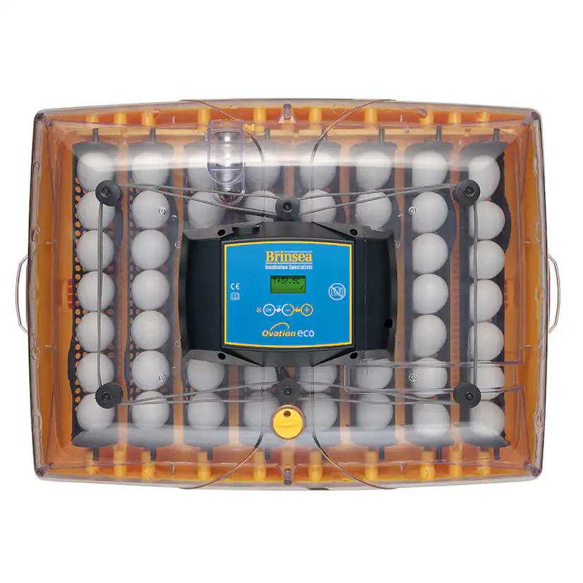 Äggkläckare Brinsea Ovation 56 Eco