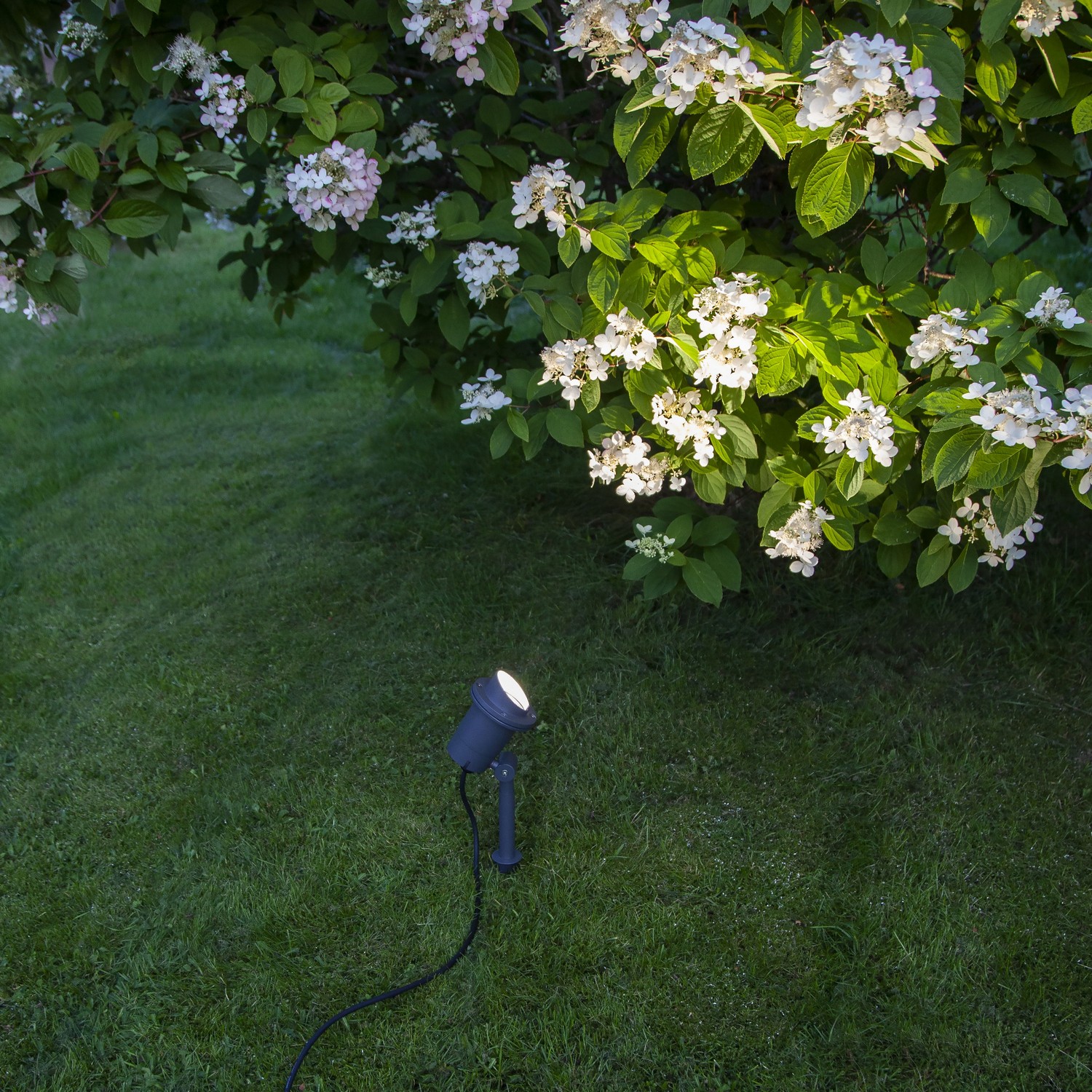 Utomhusdekoration Star Trading Spotlight Focus Svart