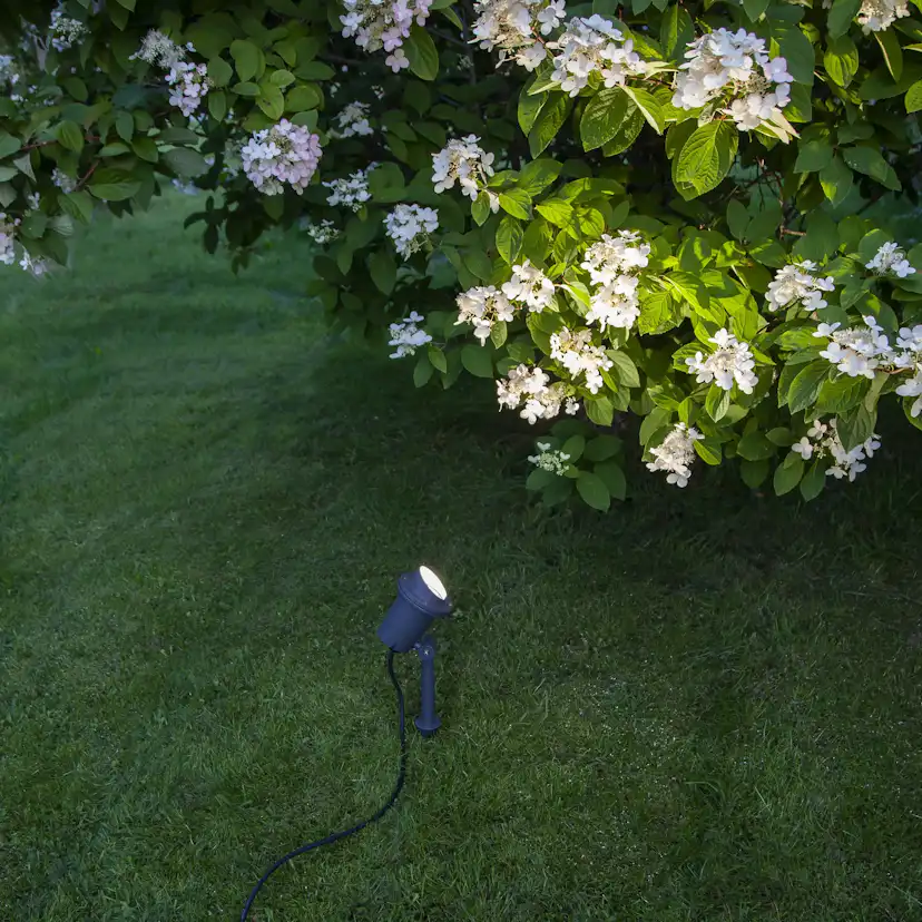 Utomhusdekoration Star Trading Spotlight Focus Svart