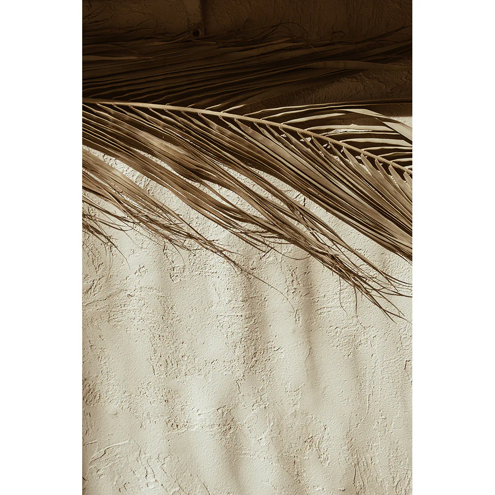 Posters Venture Home Dessert Beige