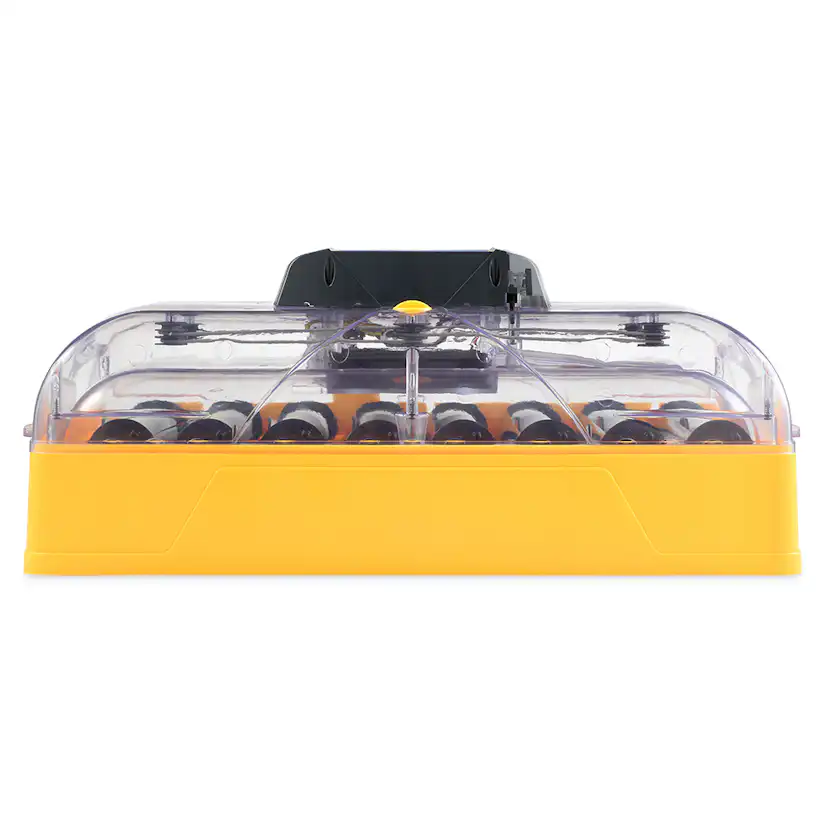 Äggkläckare Brinsea Ovation 56 EX