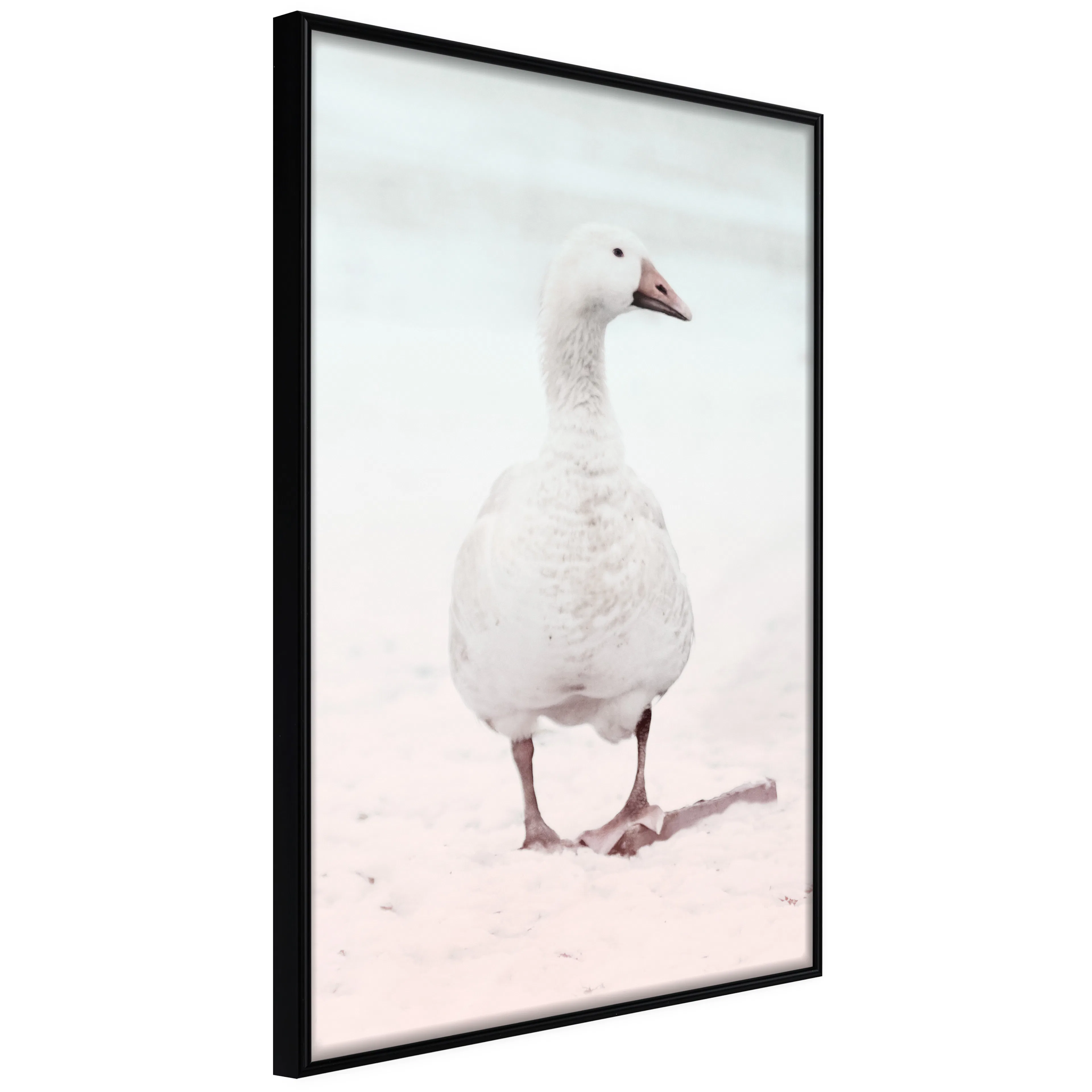 Affisch - Winter Duck [Poster] 40x60 Svart ram, 40x60 cm