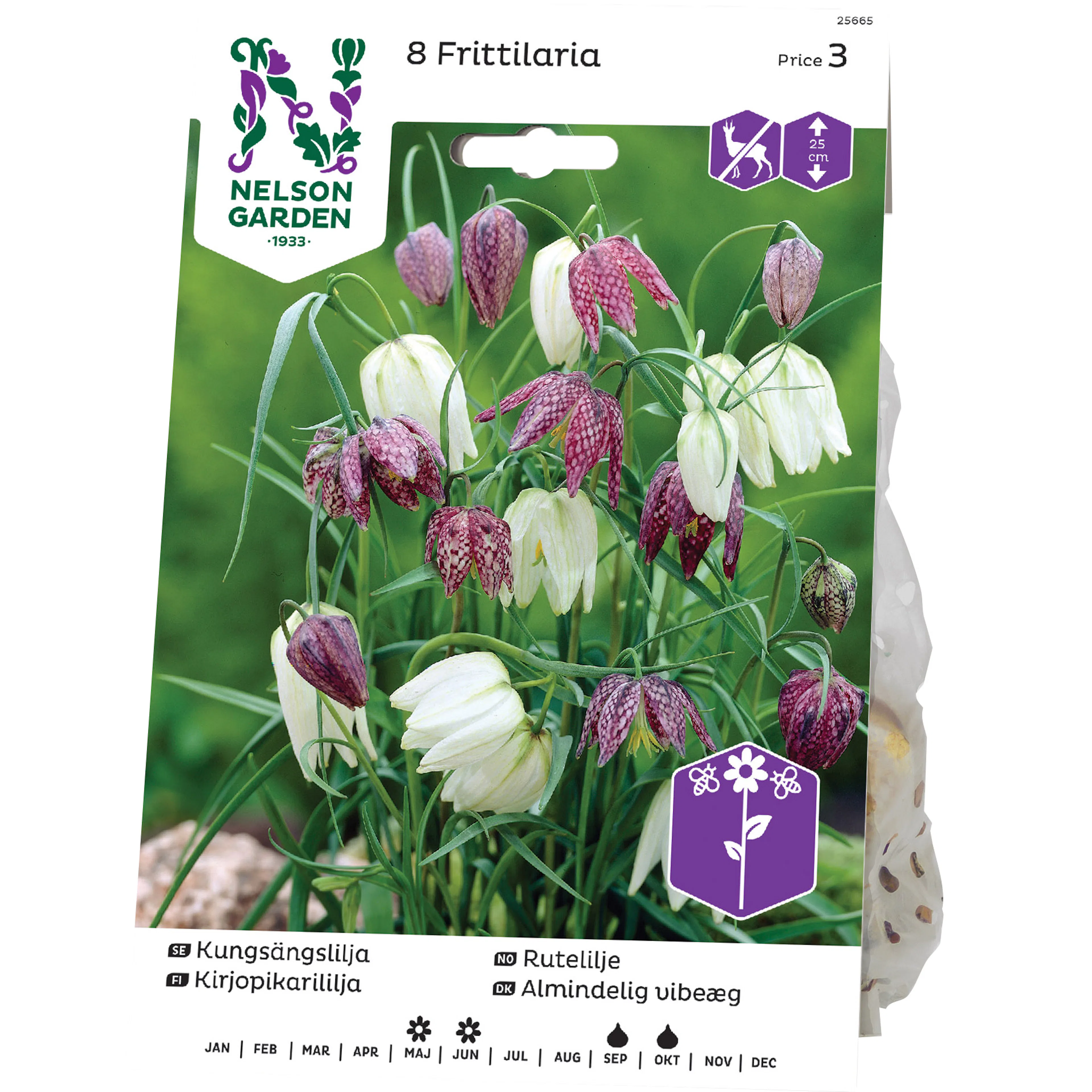 Kungsängslilja Nelson Garden Blandade Färger