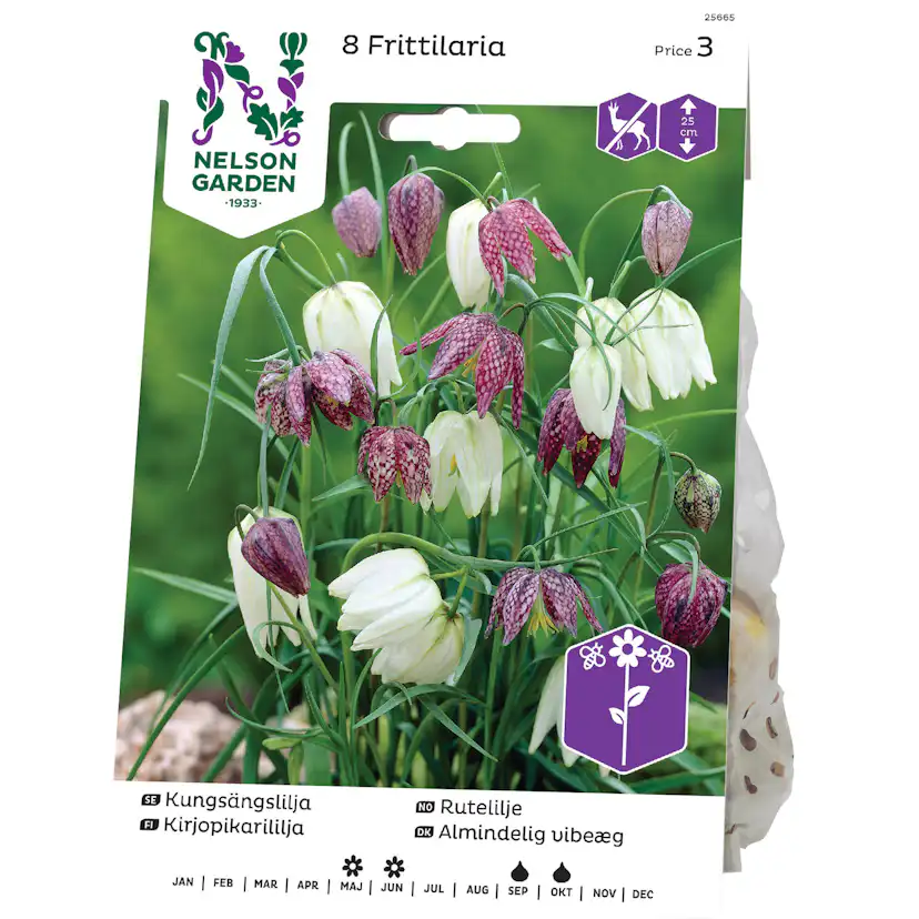 Kungsängslilja Nelson Garden Blandade Färger