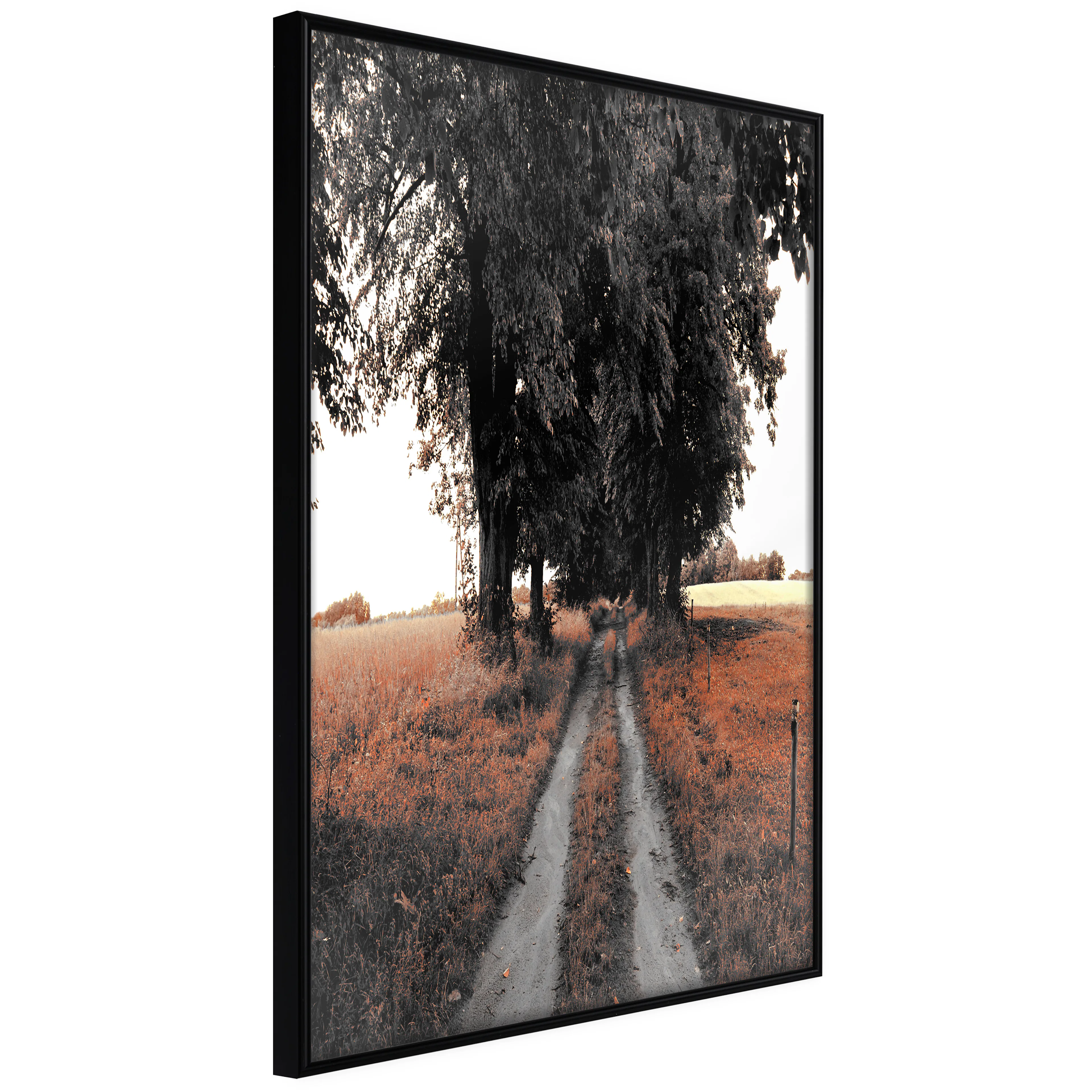 Affisch - Road to the Forest [Poster] 40x60 Svart ram, 40x60 cm