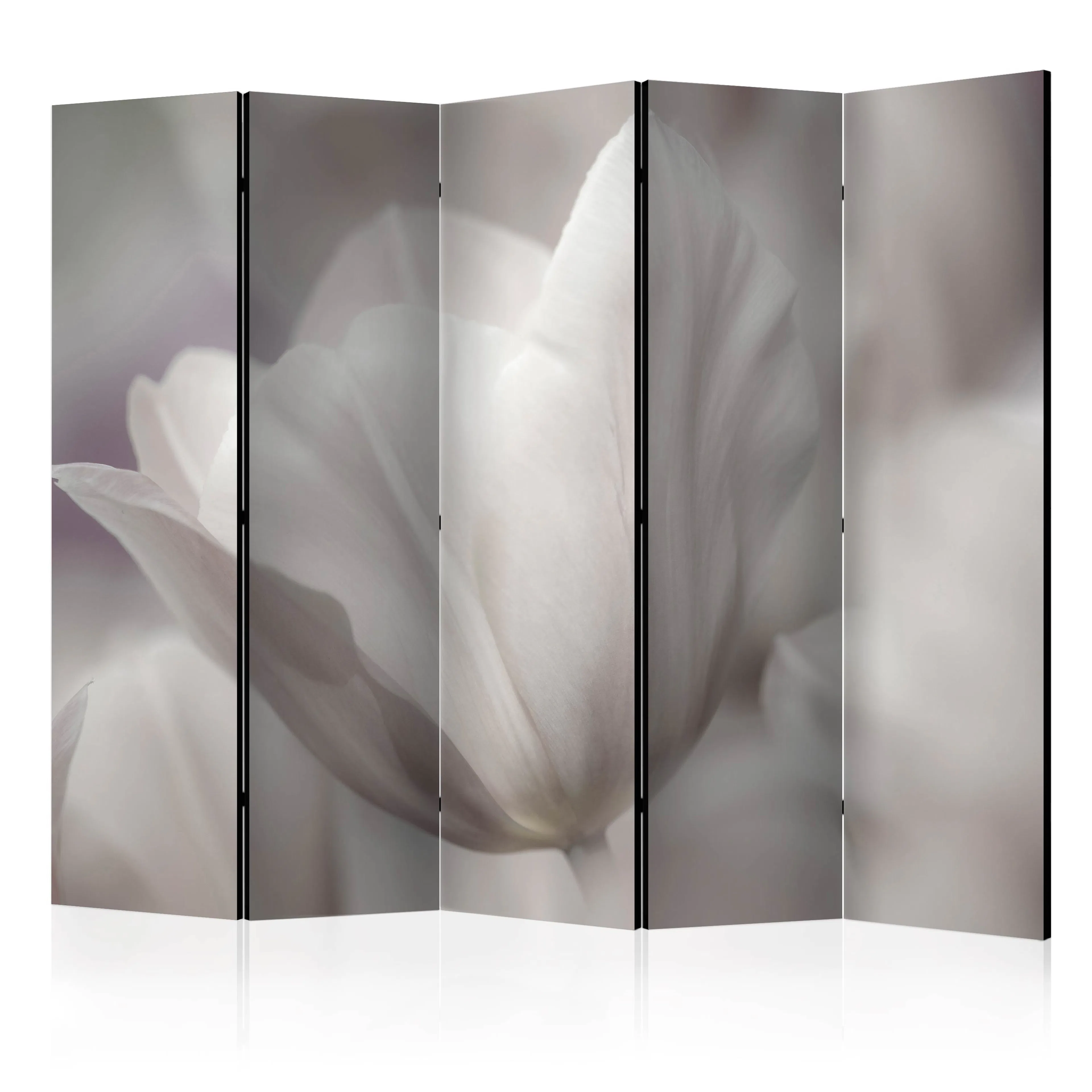 Rumsavdelare Arkiio Tulip Black And White Photo II 225x172 cm