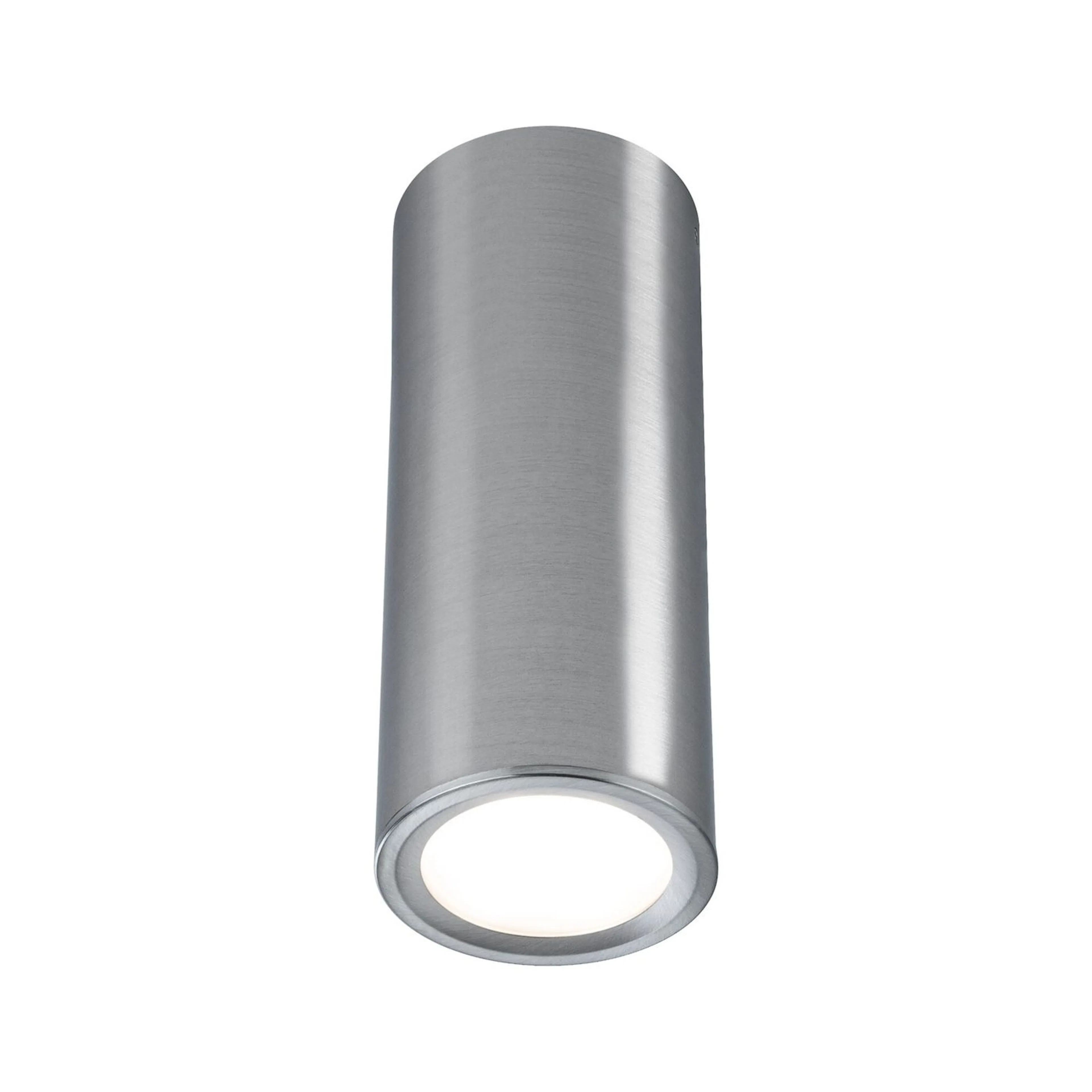 Takspotlight Paulmann Barrel Borstat järn