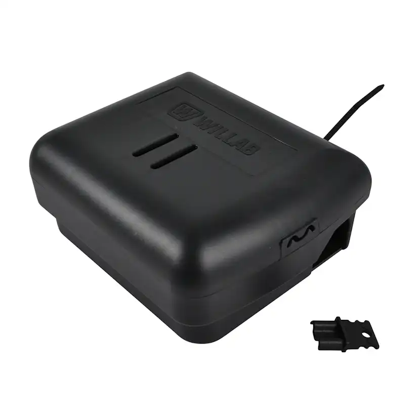 Musfälla Willab Slag Betesstation