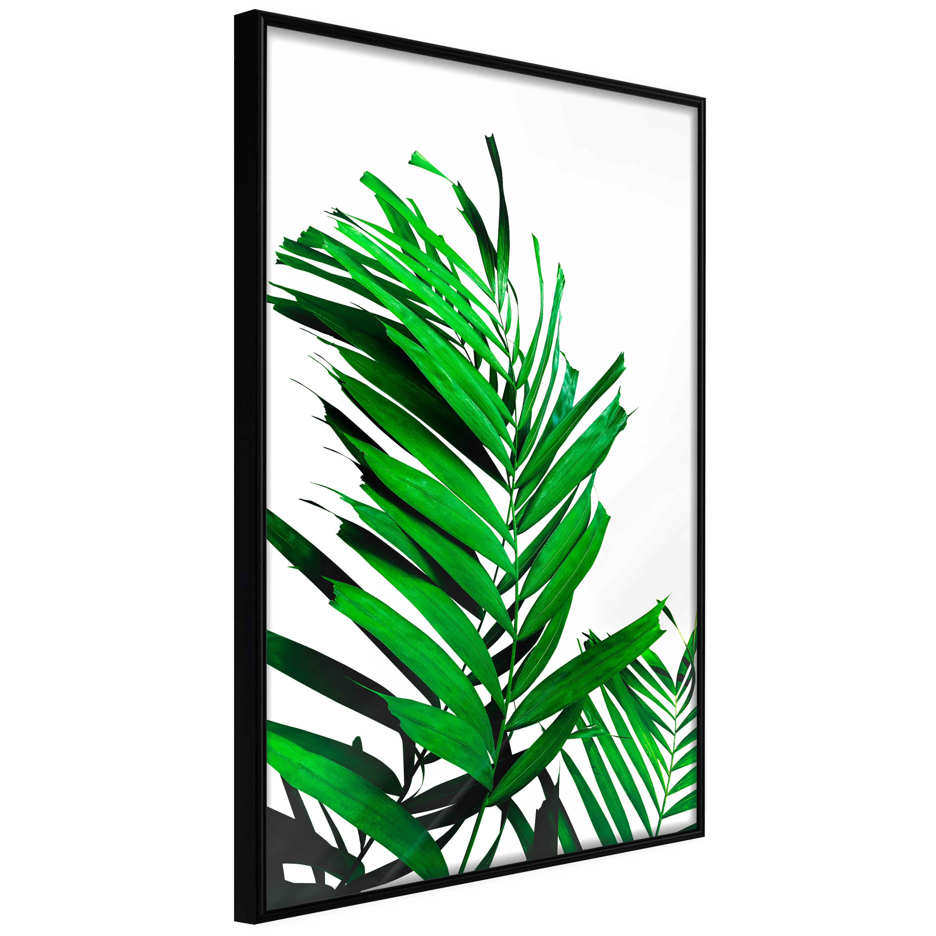 Affisch - Juicy Leaf [Poster] 40x60 Svart ram, 40x60 cm