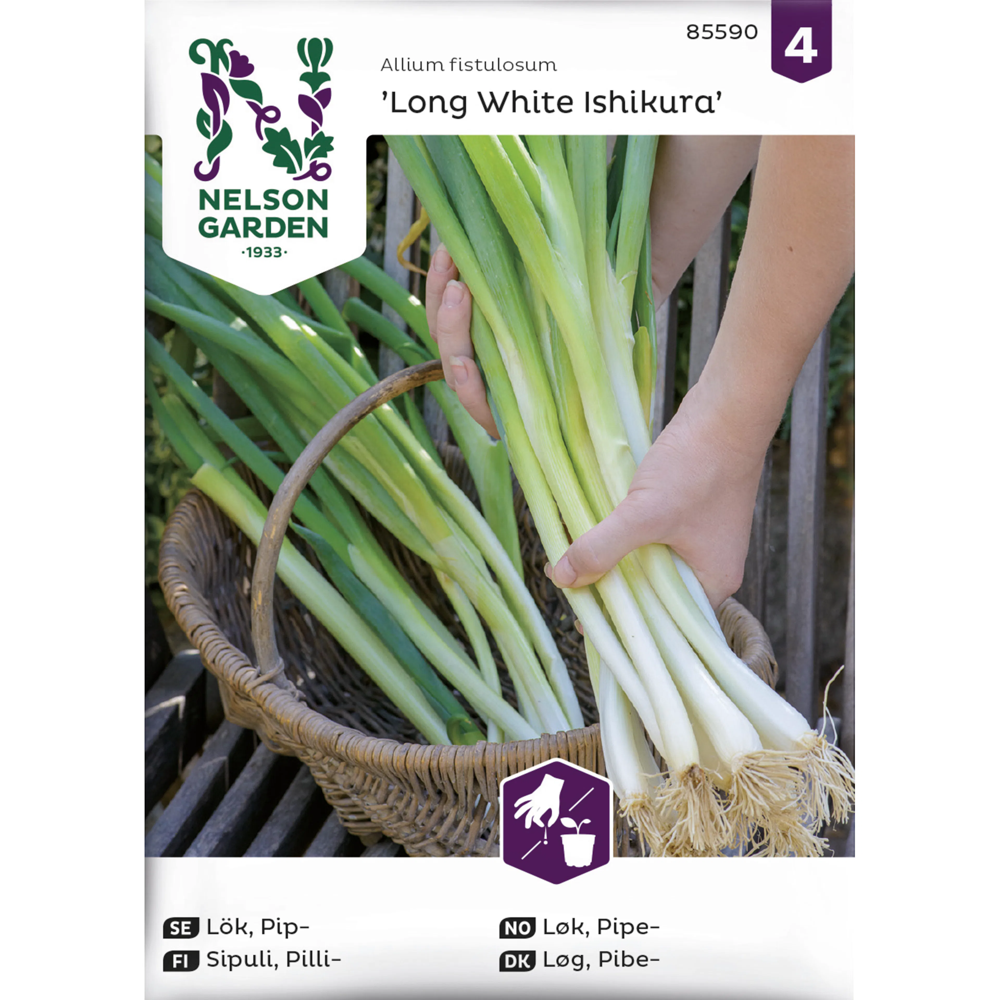 Frö Nelson Garden Gräslök Vanlig Polyvert Organic