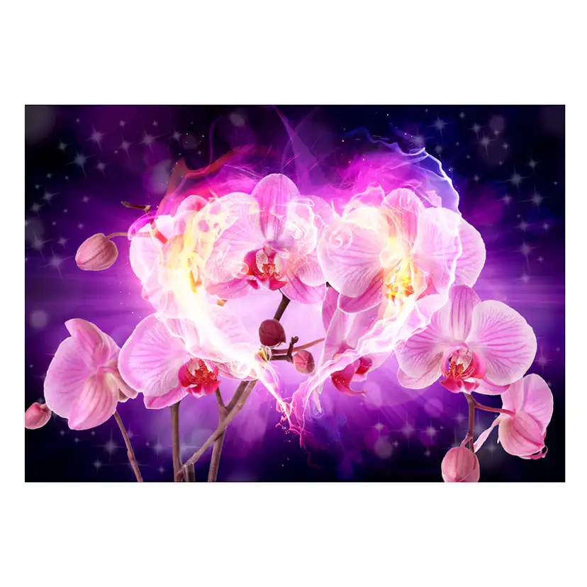 Fototapet Arkiio Orchids In Flames