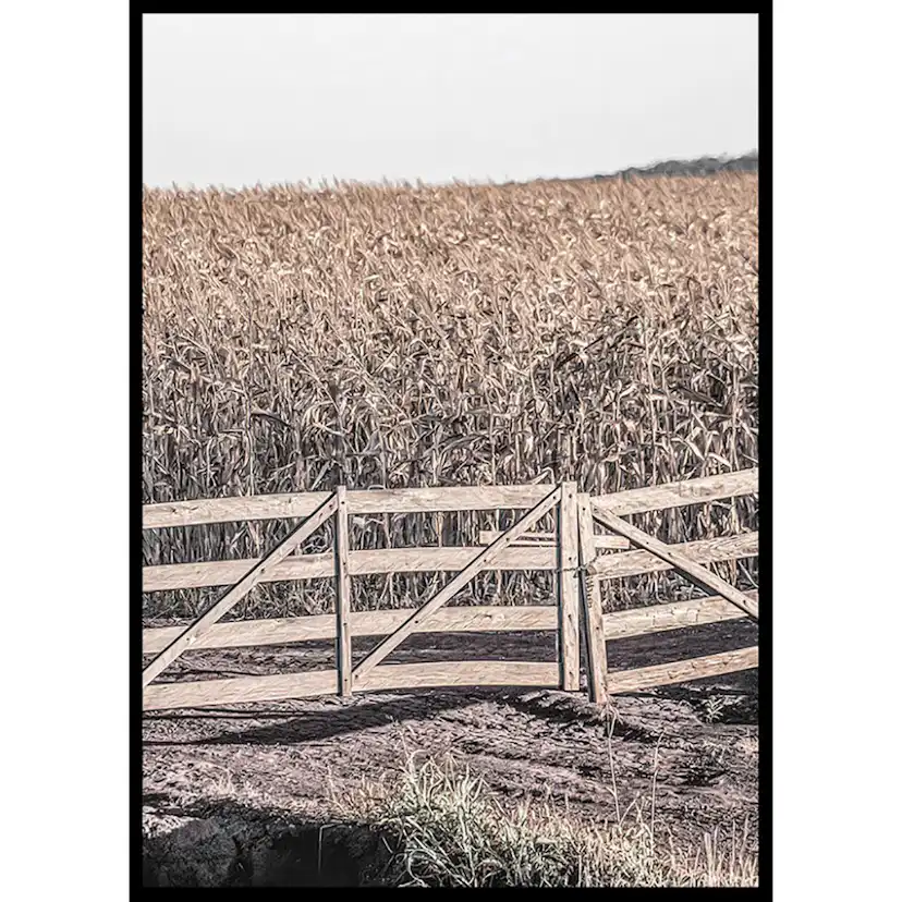 Poster Gallerix Dried Fields