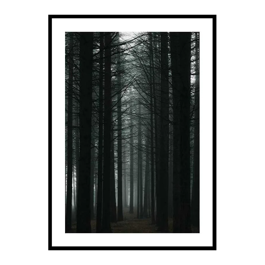 Poster Gallerix Dark Forest