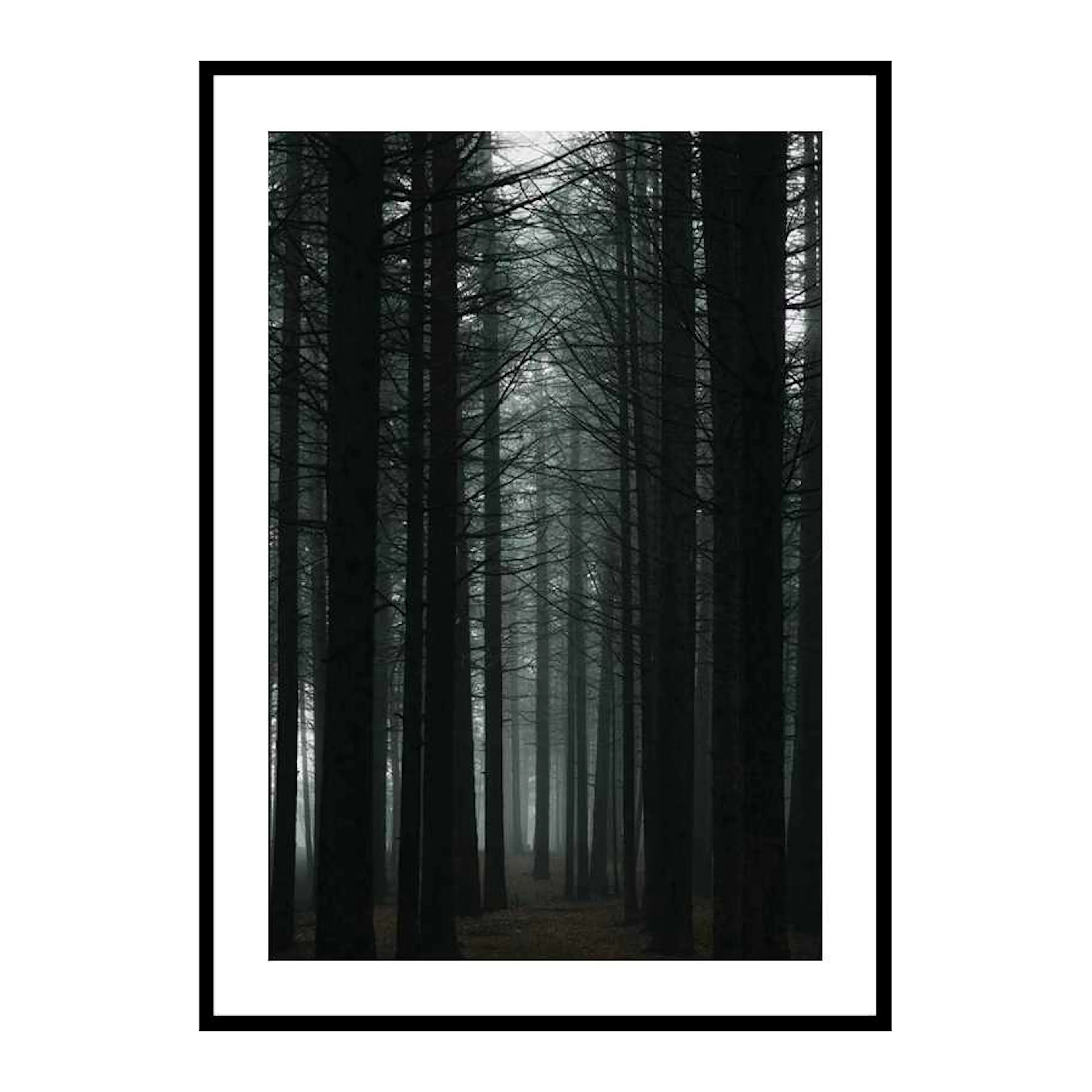 Poster Gallerix Dark Forest