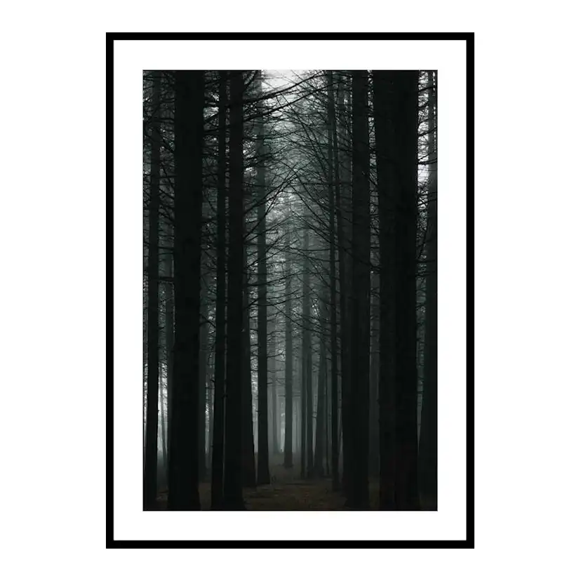 Poster Gallerix Dark Forest