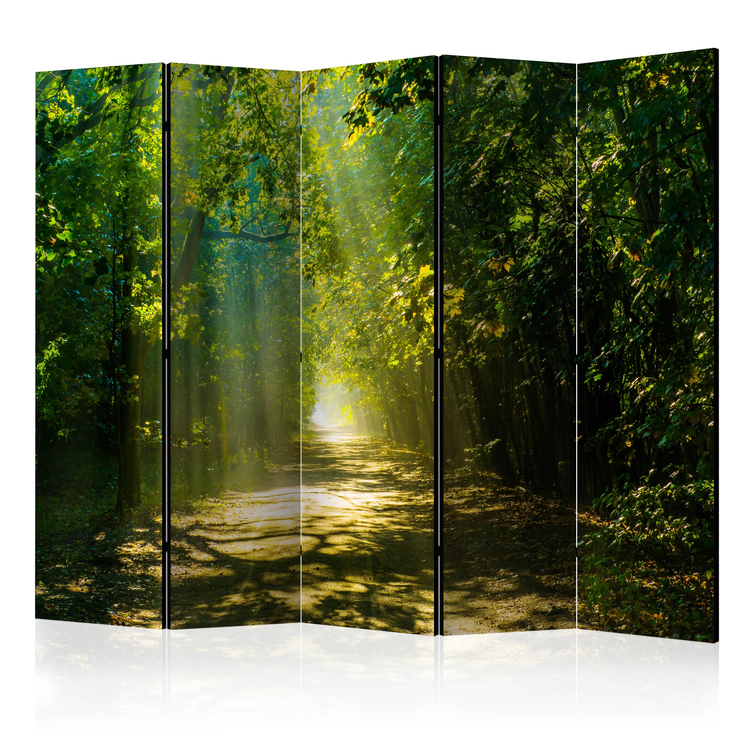 Rumsavdelare Arkiio Road in Sunlight II 225x172 cm