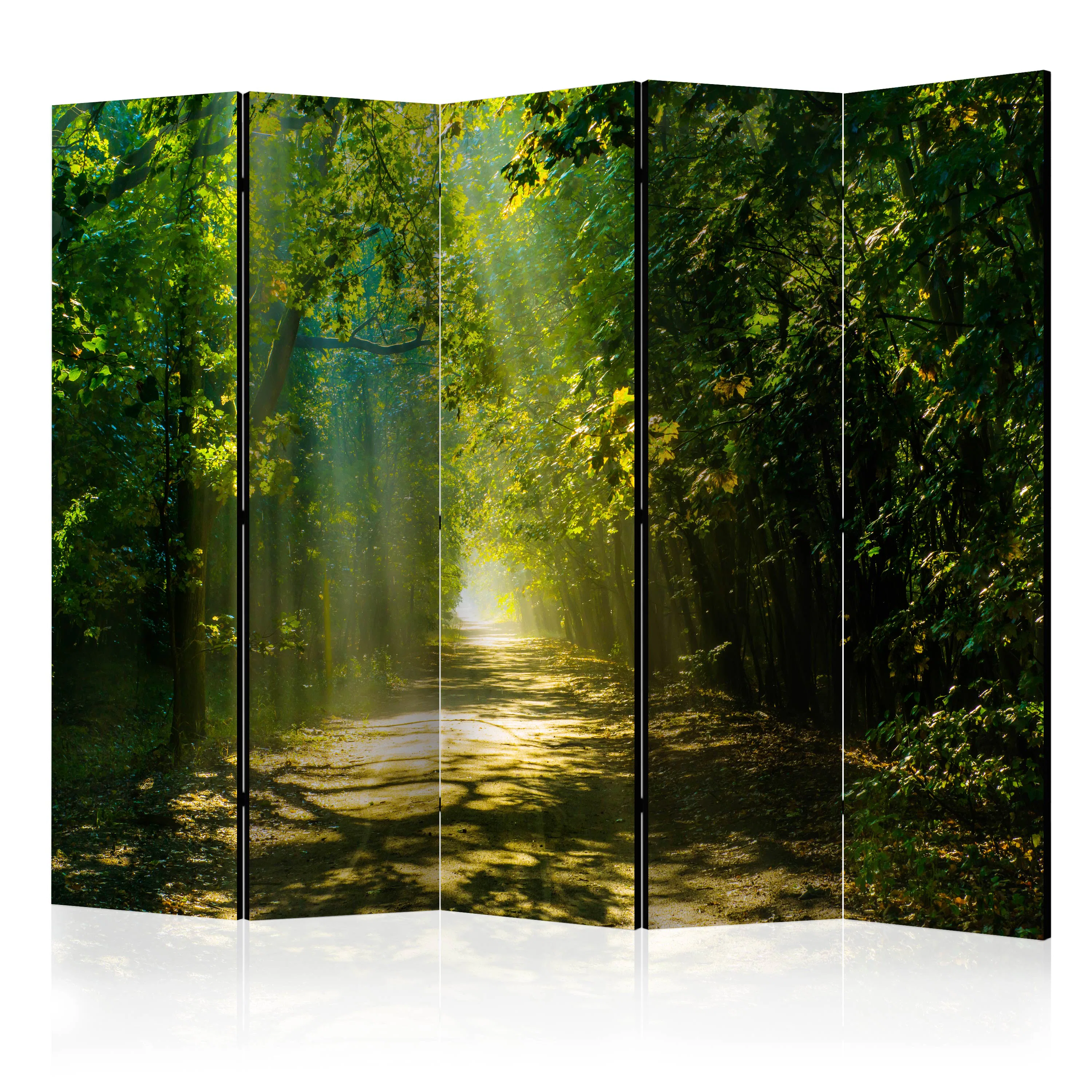 Rumsavdelare Arkiio Road in Sunlight II 225x172 cm