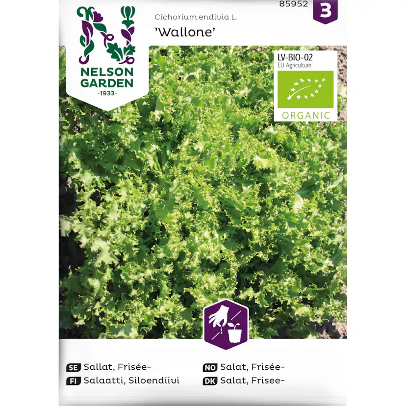 Frö Nelson Garden Sallat Frisée Wallone Organic
