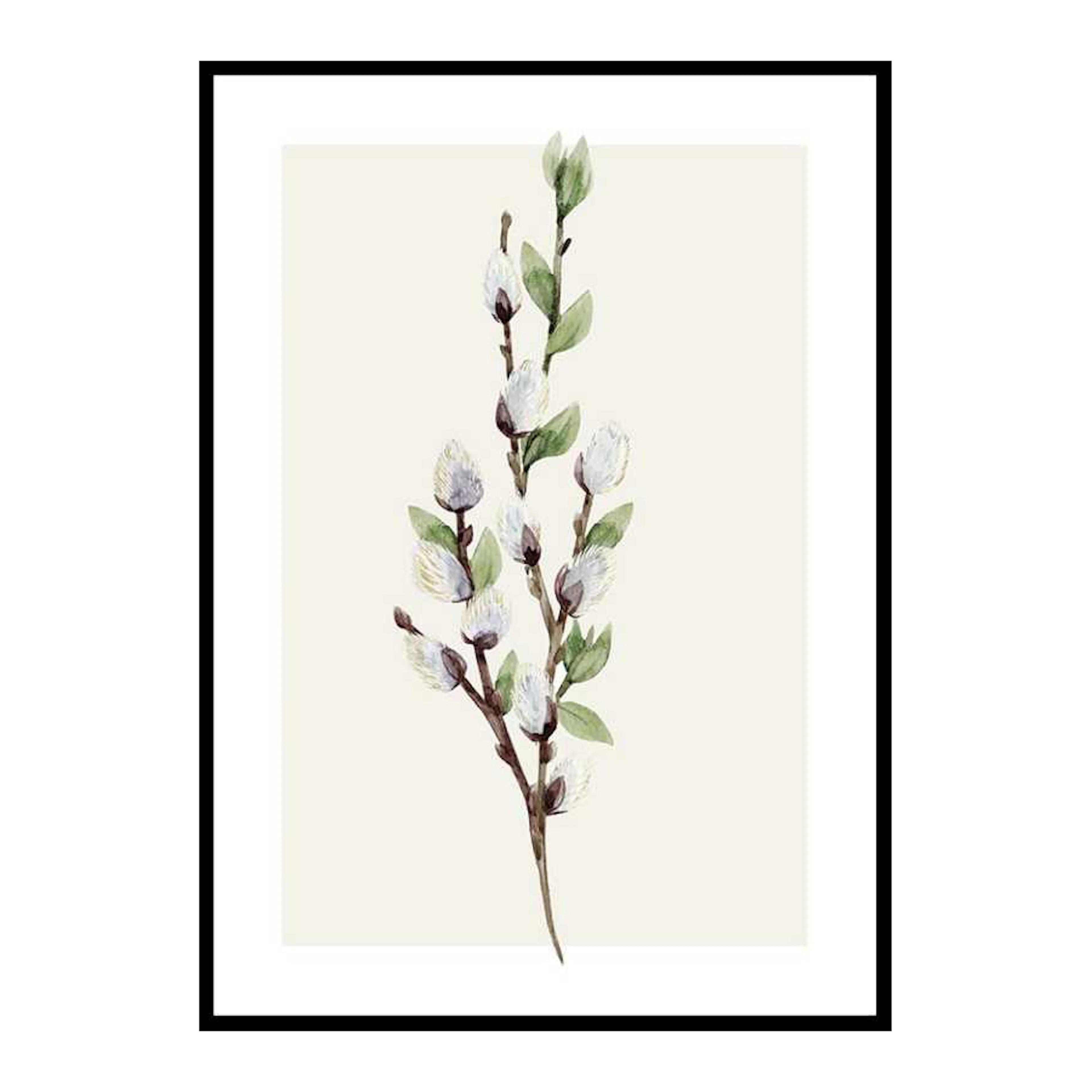 Poster Gallerix Willow Branches