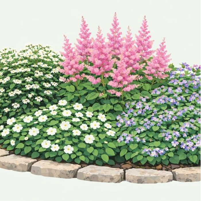 Perenn Omnia Garden Perennpaket Långvarig Trädgård