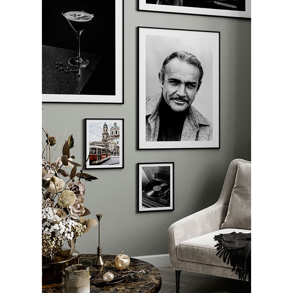 Poster Gallerix Sean Connery Portrait