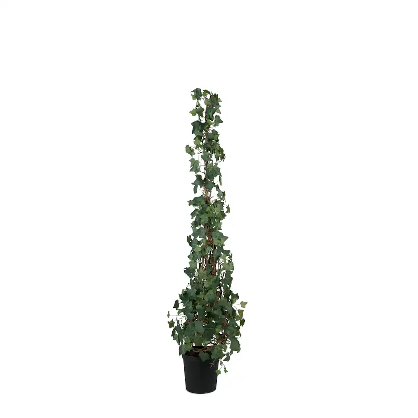 Konstväxt Mr Plant Murgröna 150-180