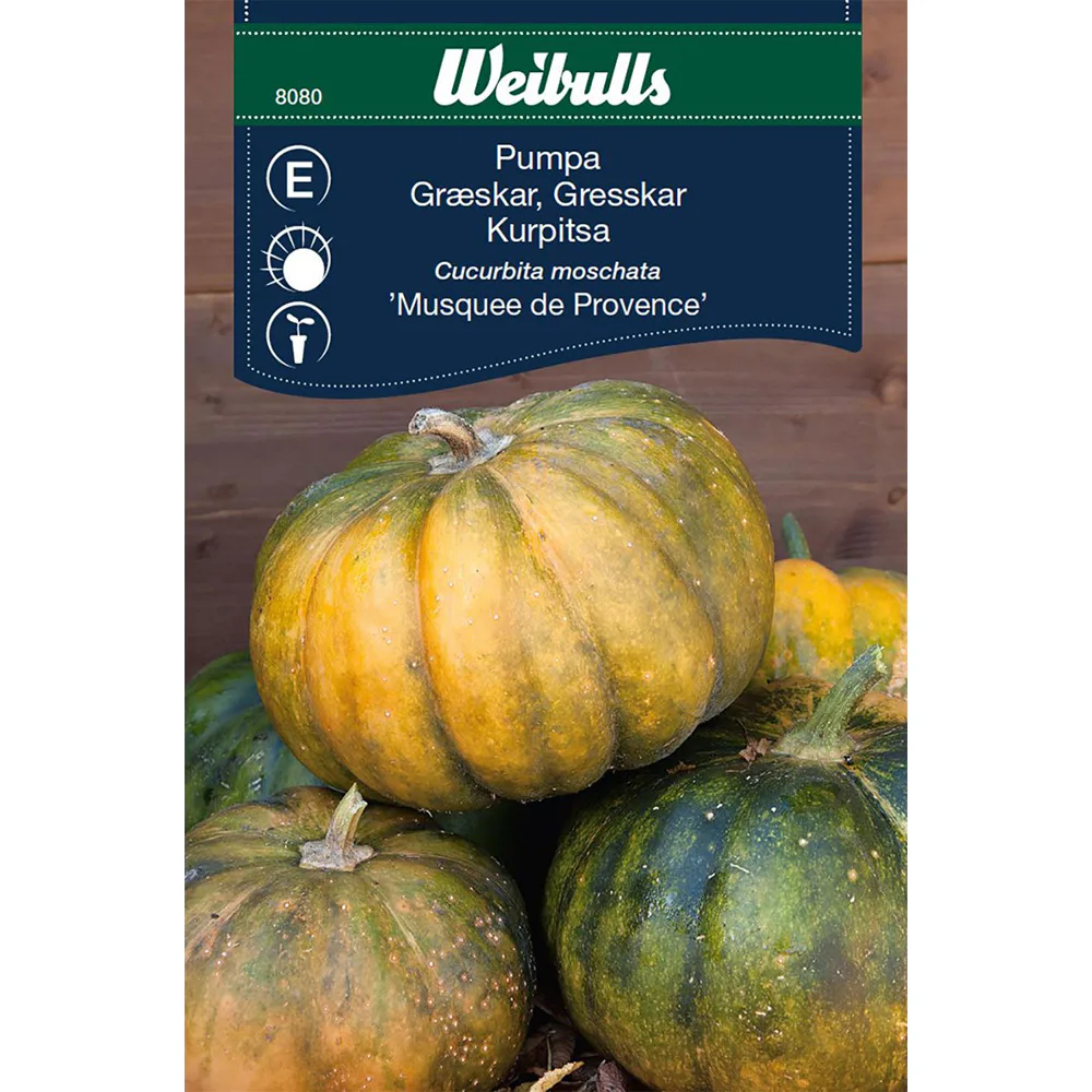 Frö Pumpa Weibulls Musquee deProvence