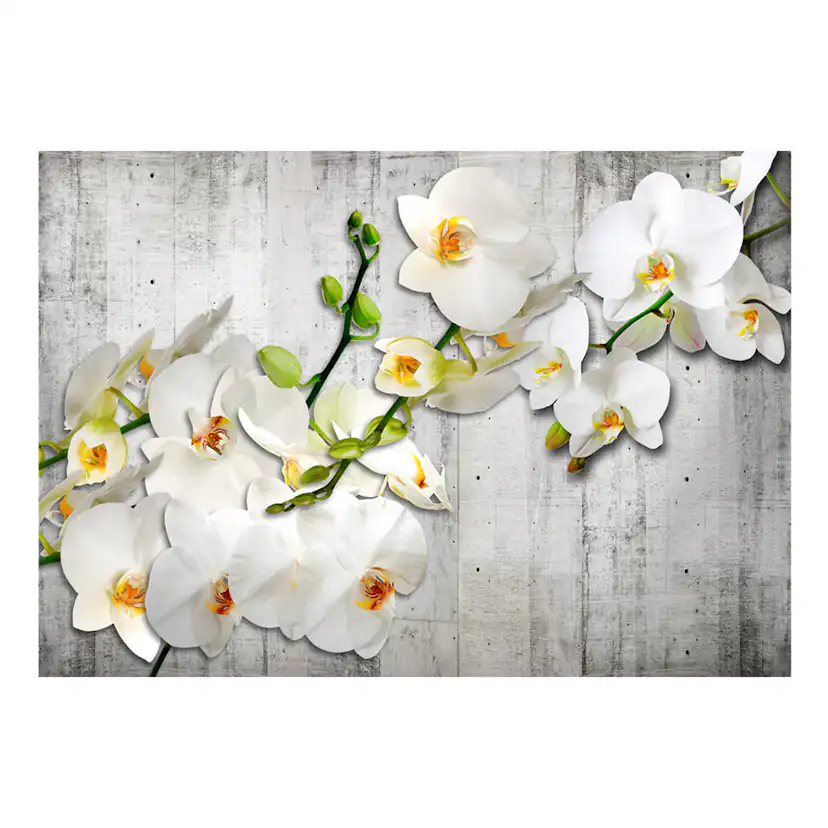 Fototapet Arkiio With Saffron Accent