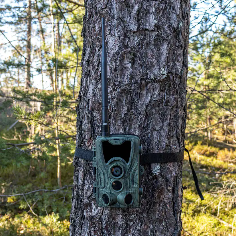 Åtelkamera Trekker Premium Sändande 4G LTE