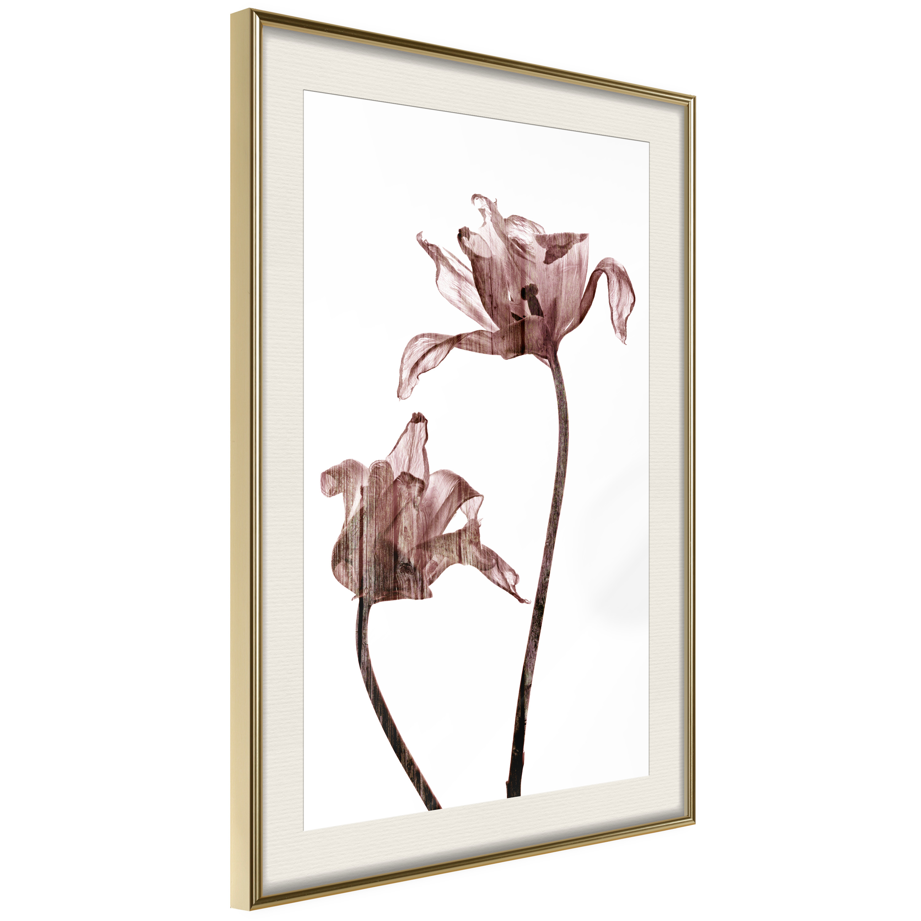 Affisch - Illuminated Closeness [Poster] 40x60 Guld ram med passepartout, 40x60 cm