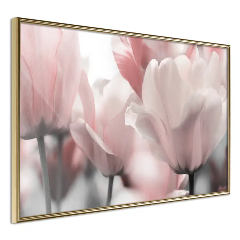 Poster Artgeist Affisch Fabulous Tulips