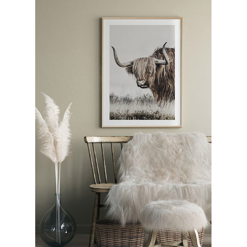 Poster Gallerix Highland Cattle