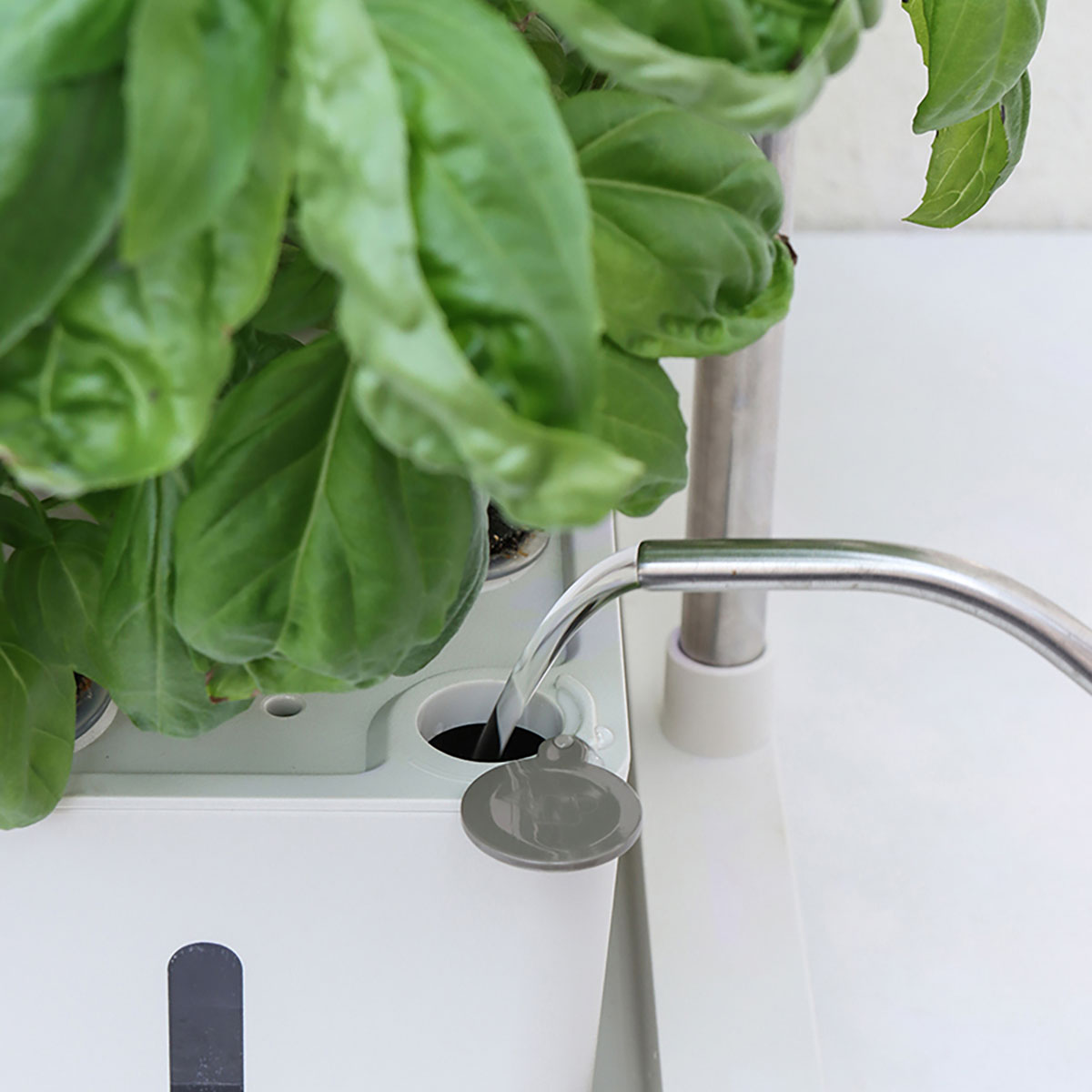Hydroponisk Odling RobotGarden Odlingslådor Med Växtlampa & Startkit för Hemmaodling