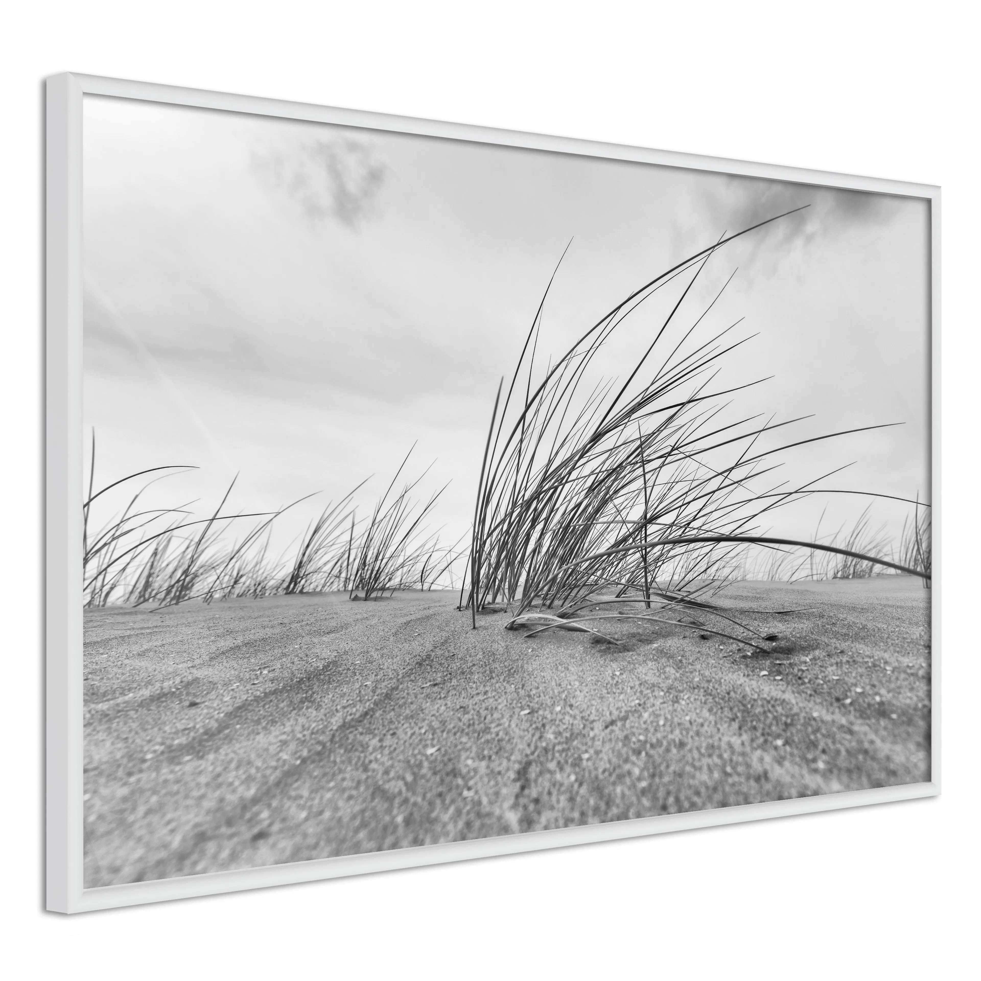 Poster Artgeist Affisch Seaside Reed