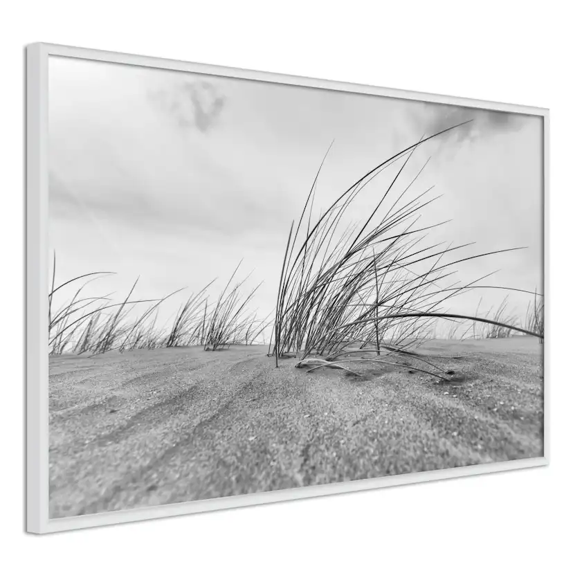 Poster Artgeist Affisch Seaside Reed