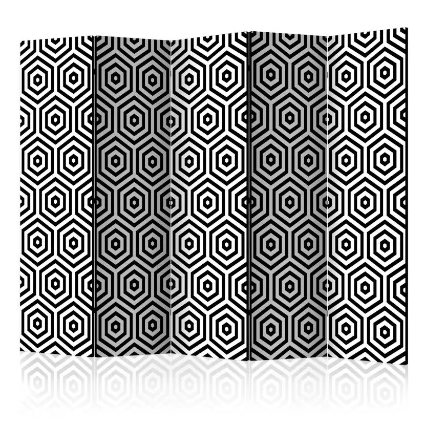 Rumsavdelare Arkiio Black and White Hypnosis II 225x172 cm