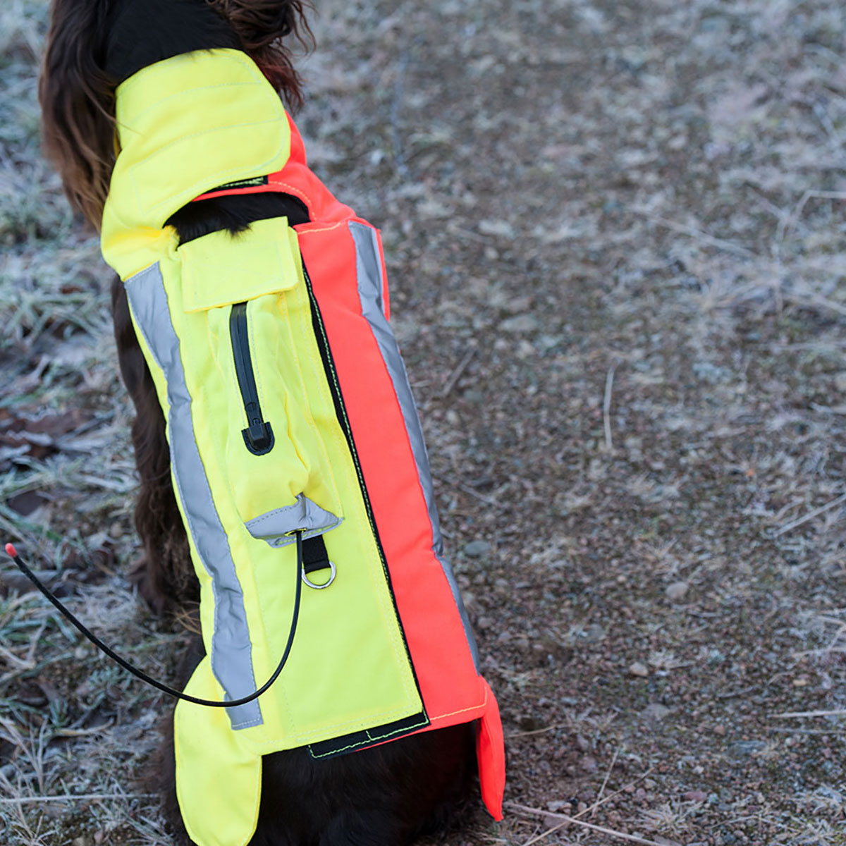 Skytteväst Genzo för Hund