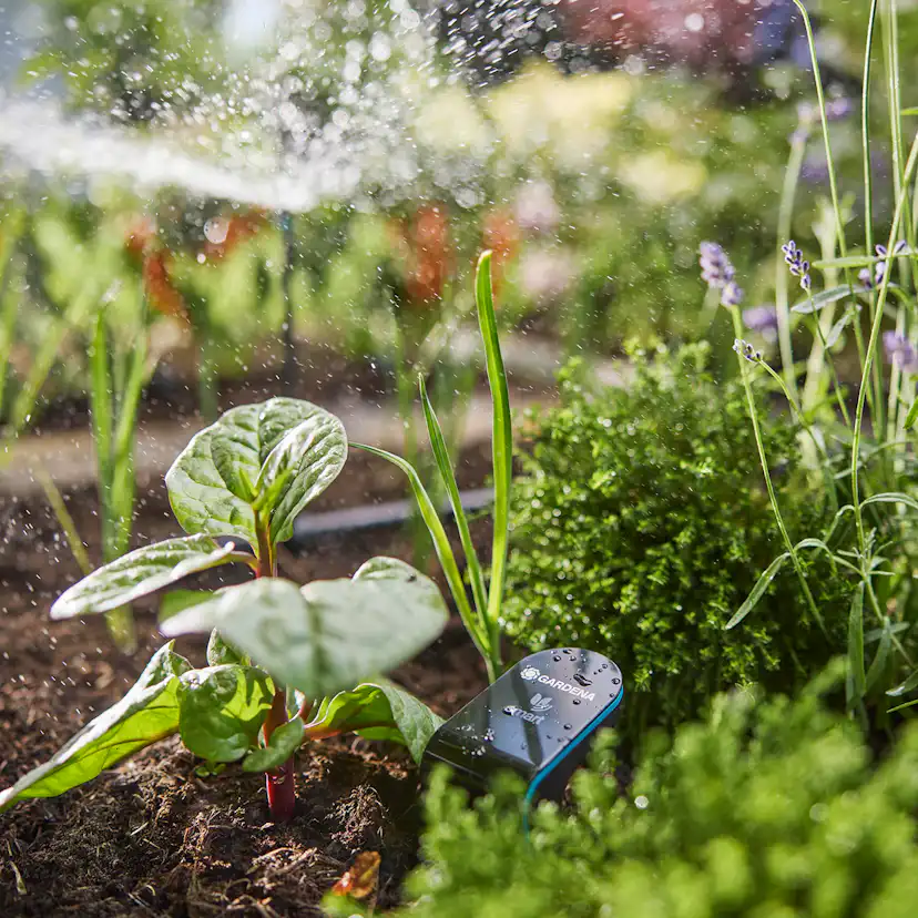 Robotgräsklippare Gardena Smart Sileno Sense 600 Bevattningspaket
