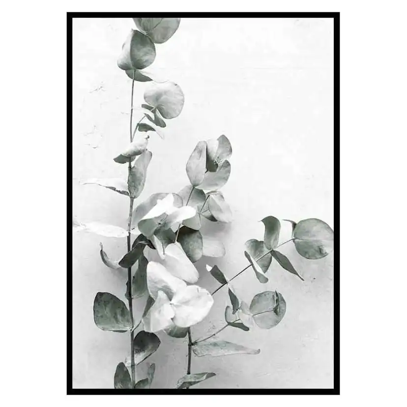 Poster Gallerix Eucalyptus No4