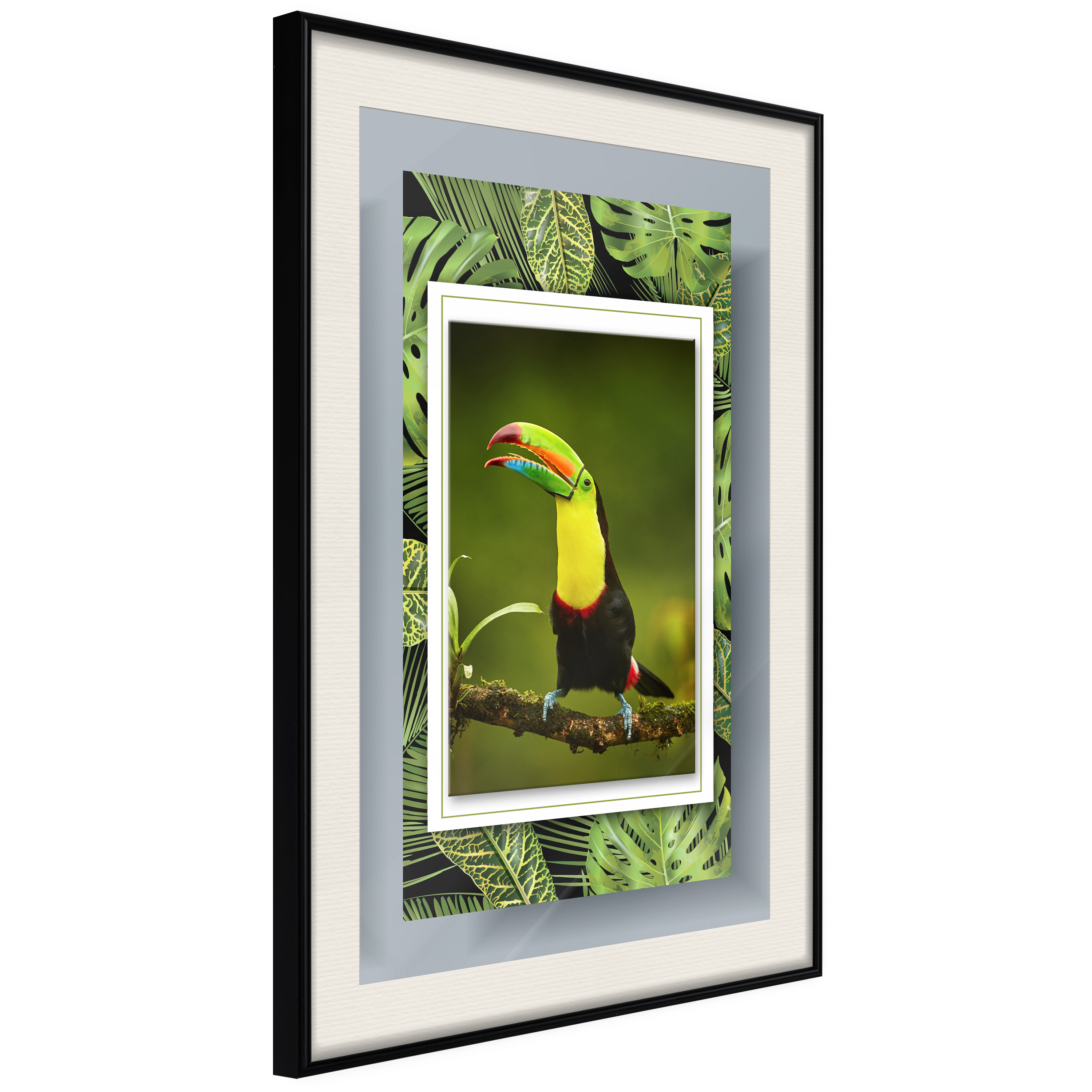 Affisch - Toucan [Poster] 30x45 Svart ram med passepartout, 30x45 cm