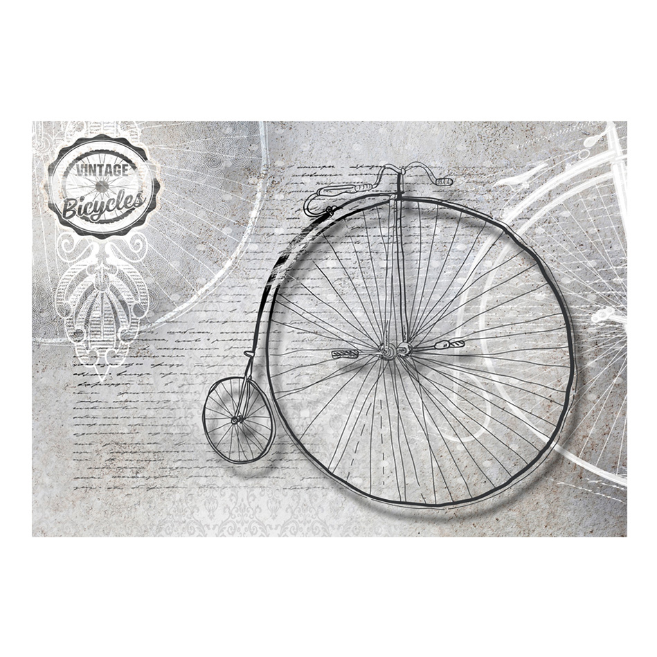Vintage bicycles - black and white 400x280 Storlek: 400x280 cm