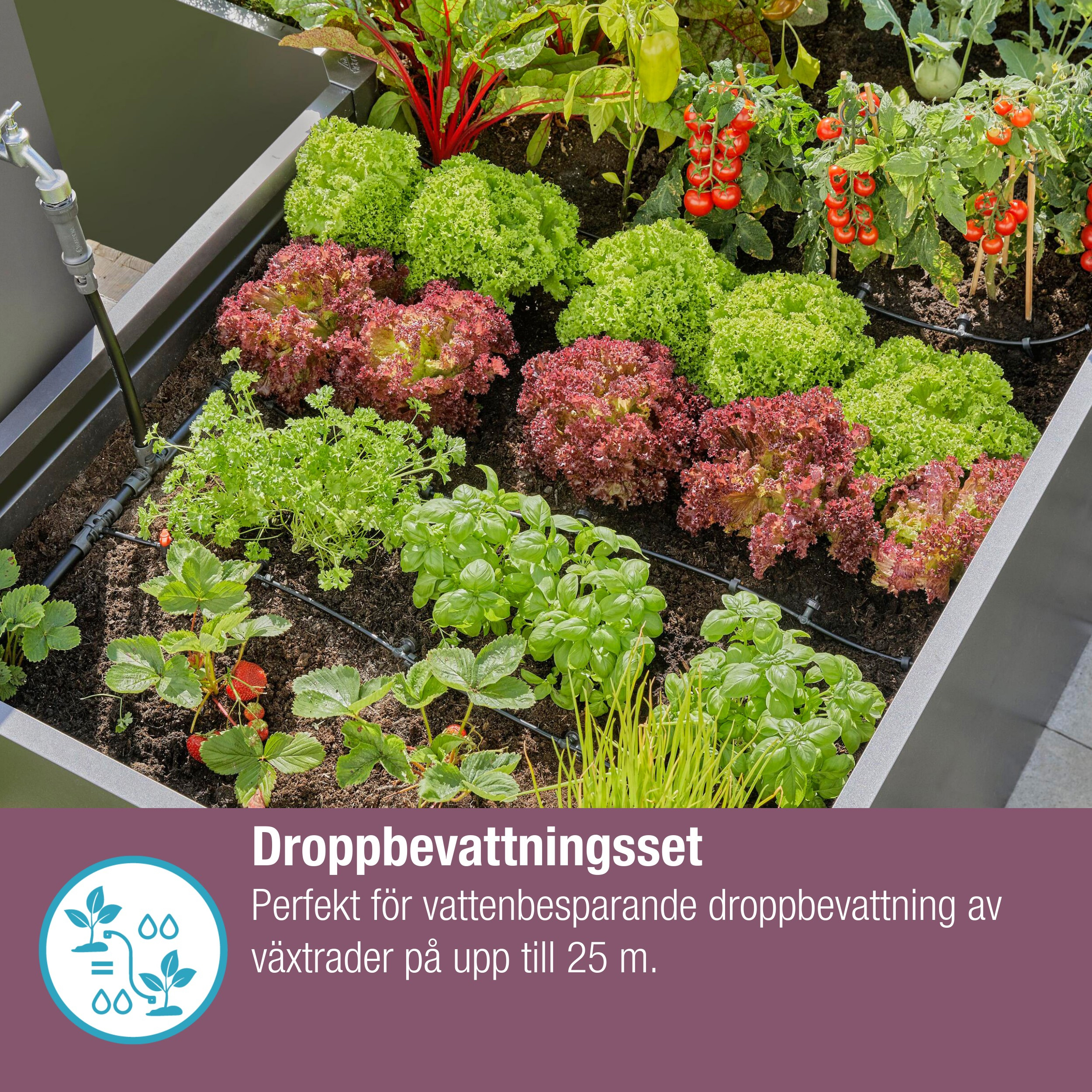 Droppslang Gardena Micro-Drip Set 25 m Ovan och Under Jord