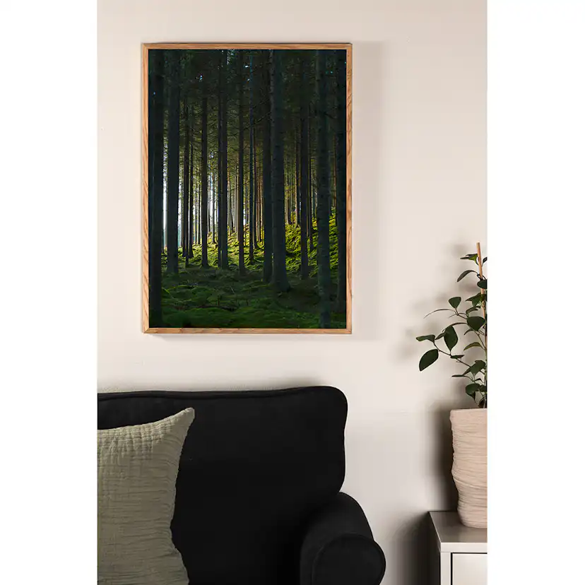 Posters Venture Home Woods Svart/grön
