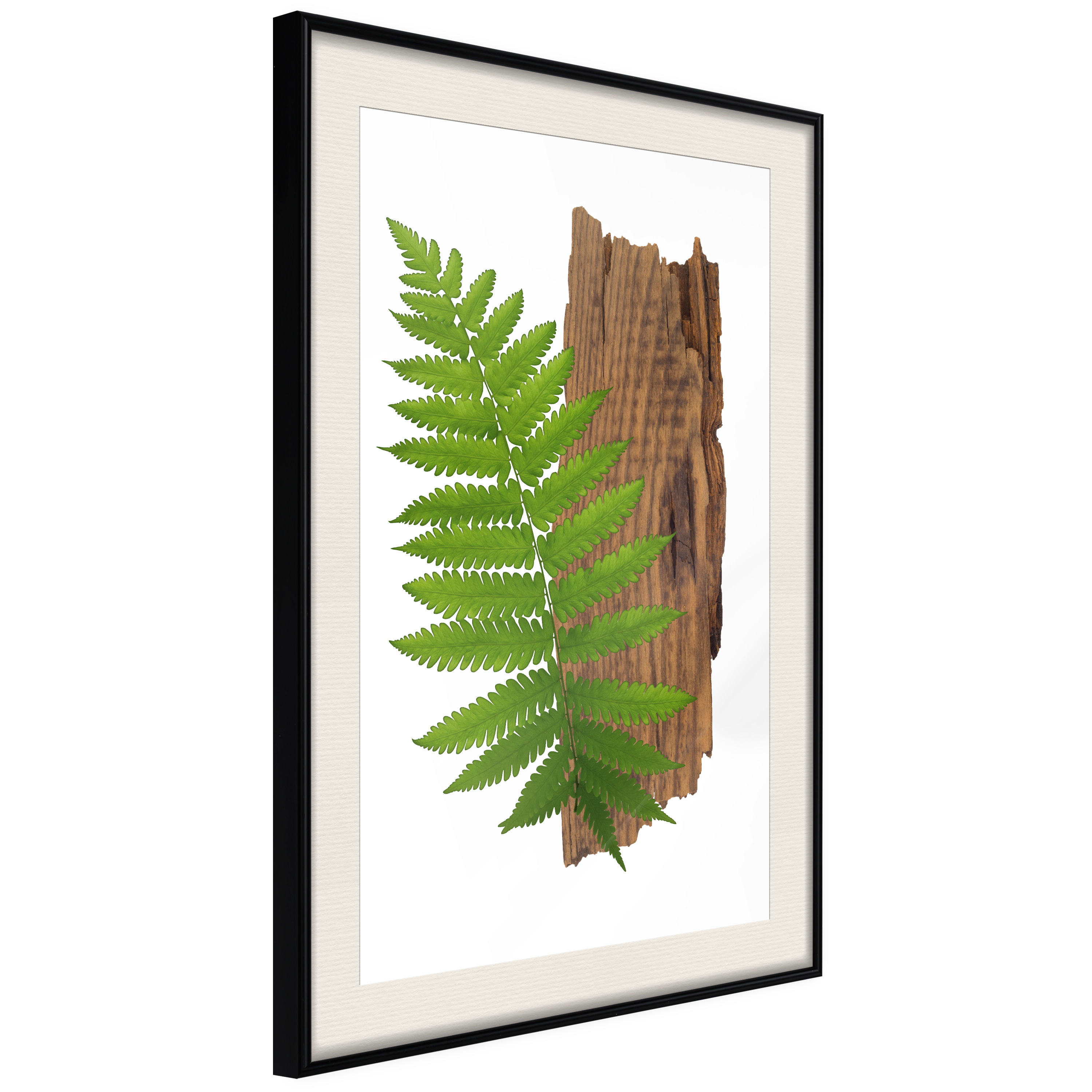 Affisch - Firmness of Nature [Poster] 20x30 Svart ram med passepartout, 20x30 cm