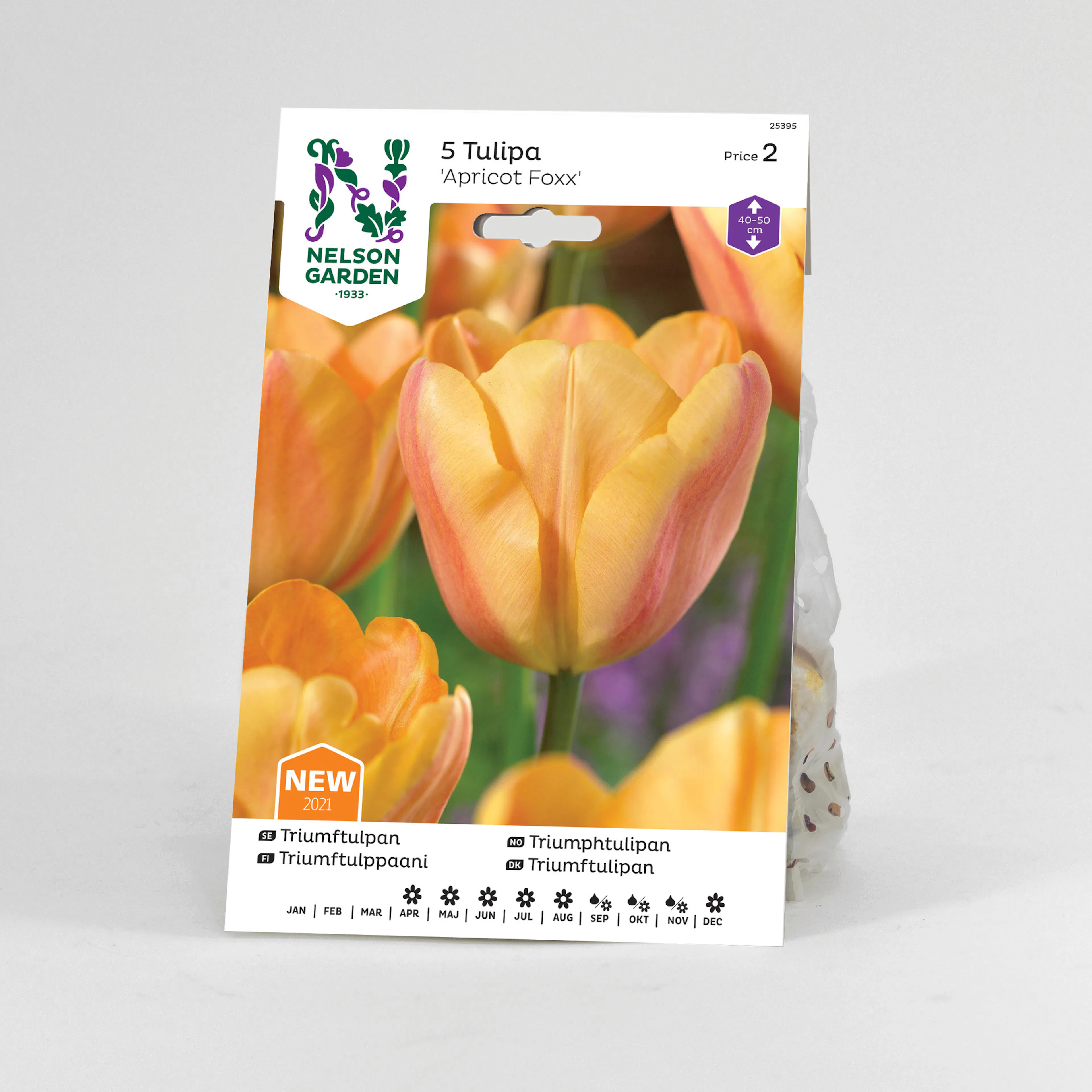 Tulpan Nelson Garden Triumf Apricot Foxx