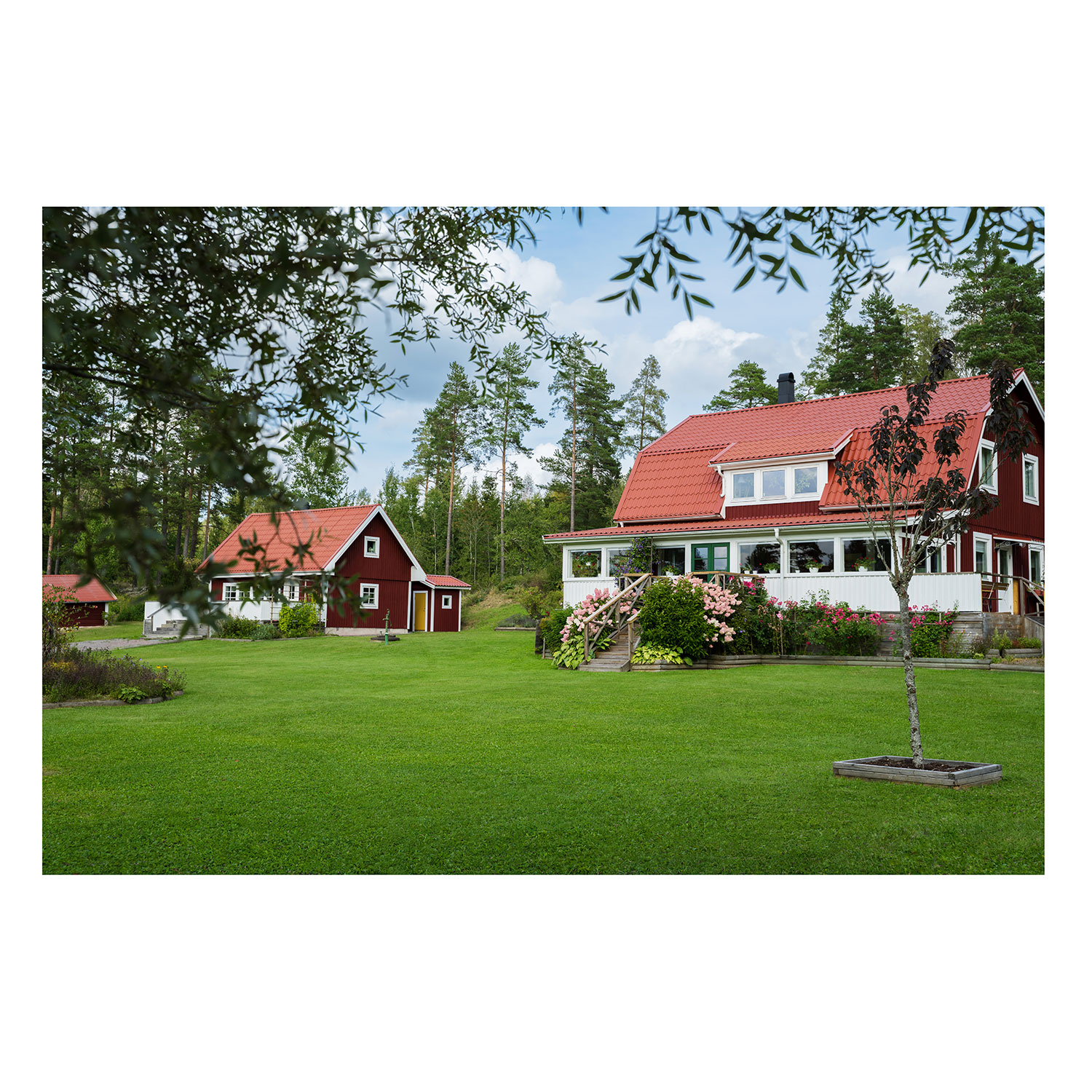 Gräsfrö Weibulls Villa Classic