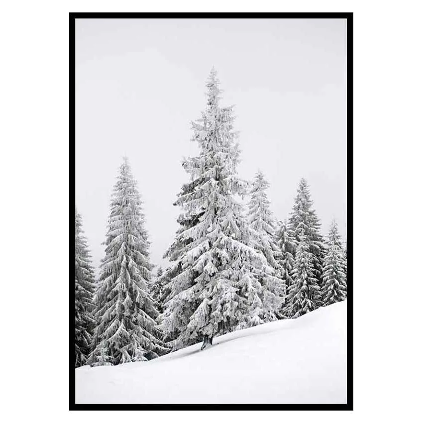 Poster Gallerix Spruce In Winter
